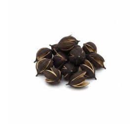 3824 lily 3-6cm natur small 24ks