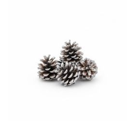 1014 šiška sosna 5-7cm bielená 6ks