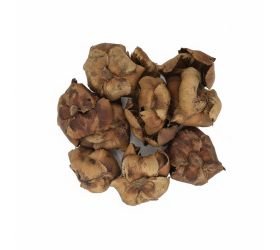 3472 palm cap nat 9-12cm 12ks