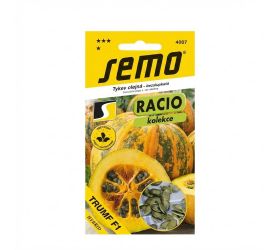 Tekvica triumf na semená 11s