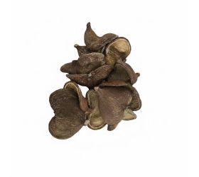 3397 badam bielený 12ks