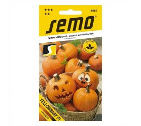 Tekvica yellowbaby f1 3g