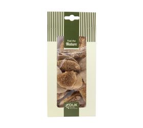 Mushroom sponge nature 10x5x22cm 50gr