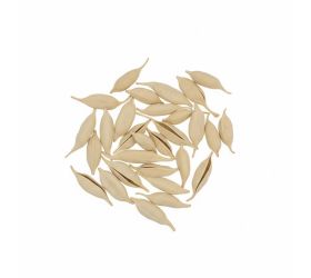 5106 brachyciton bielený 250g