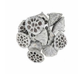 3378 lotos 6-8cm bielený 12ks