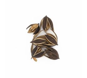 3404 liliy 8-9cm natur 6ks