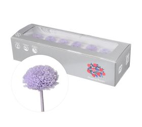 Chryzantéma preparovaná soft lilac 2,5cm/ks