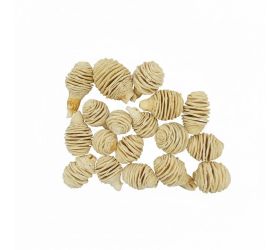 544 platyspermum bielené 250g