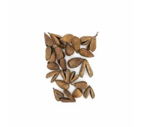 821 benzo fruit natur 24ks