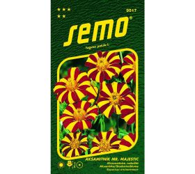 Aksamietnica rozl mr.majestic 50s