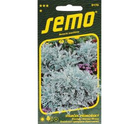 Starček silverdust 0,3g