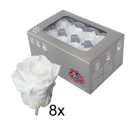 Ruža preparovaná 4cm white /ks - bal. 8 ks