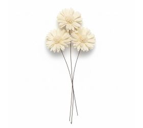 242shola kvet 6cm sunflow 6ks