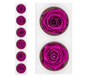 Ruža preparovaná 6,5cm velvet plum /ks - bal. 6 ks