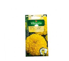 Aksamietnica vzpriamená lemon 1g