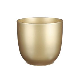 Obal tusca gold v23 x pr. 25cm /1019042