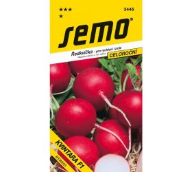 Reďkovka kvintara f1 (hg17/12) 1,50g