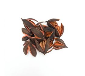 559 lily 4-7cm pomaranč 12ks