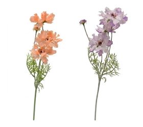 Ks cosmos mix/2f 60cm