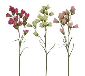 Ks campanula mix/3f 77cm