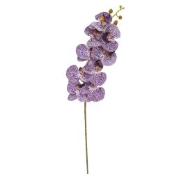 Ks orchidea phalaenopsis bie-fialová 97cm