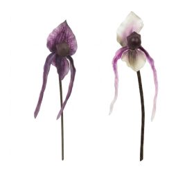Ks orchidea mix/2f 48cm