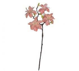 Ks magnólia oranžová 54cm