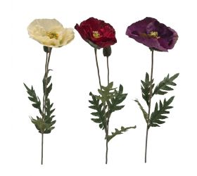 Ks papaver mix/3f 72cm