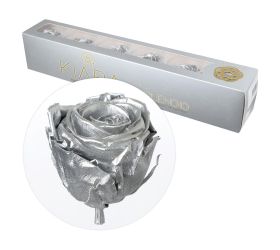 Ruža preparovaná 6,5cm silver /ks - bal. 6 ks
