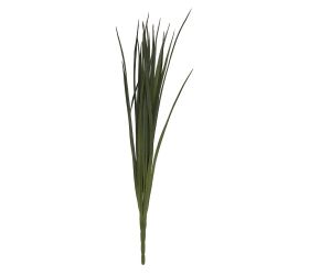 Ks tráva miscanthus zelená 66cm