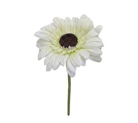 Margarétka biela xxl 64/100cm