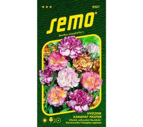 Klinček záhradný picotee 0,25g