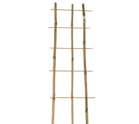 Podpora bambus 75/3