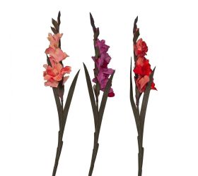 Ks gladiola zamat mix 3 farieb 92 cm