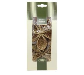 Landlotus nature 10x5x22cm 4pc