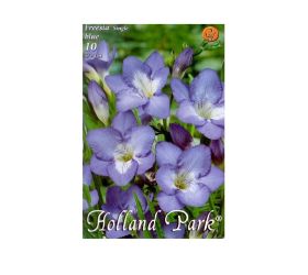 Freesia blue 10ks