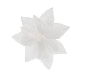 Vianočná ruža poinsetia biela