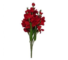 Kytica gladiola x5 červená 75cm