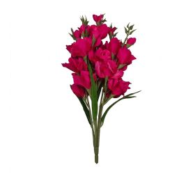 Kytica gladiola x5 cyklamenová 75cm