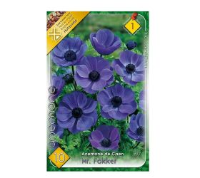 Anemone de caen mr.flokker 10ks