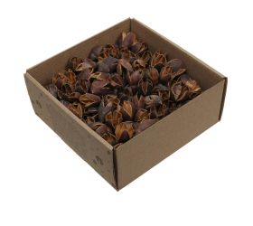 Bakuli naturál suš 400g