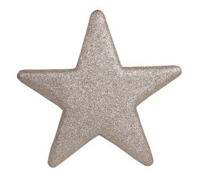 Hviezda šampáň 25cm