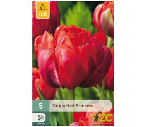 Tulipán red princess 5ks pevná cena