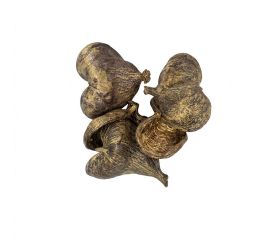 Badam nature 23 × 20 × 8 cm 5pc