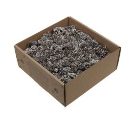 Birch pine/šiška bielená 250 g.