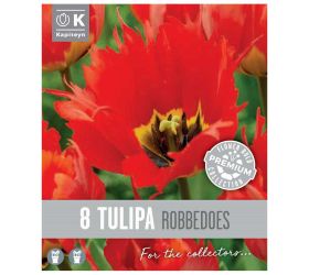 Tulipán prem.robbedoes 8 ks