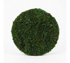 Podklad mach kruh priemer 31/výška 5,5 cm