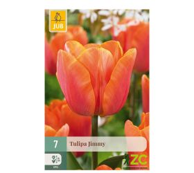 Tulipán jimmy 7ks pevná cena