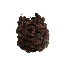 Pinecone birch nature 10x5x22cm 50gr